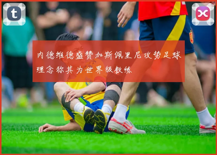 内德维德盛赞加斯佩里尼攻势足球理念称其为世界级教练