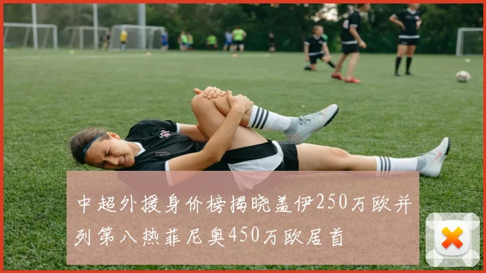 中超外援身价榜揭晓盖伊250万欧并列第八热菲尼奥450万欧居首