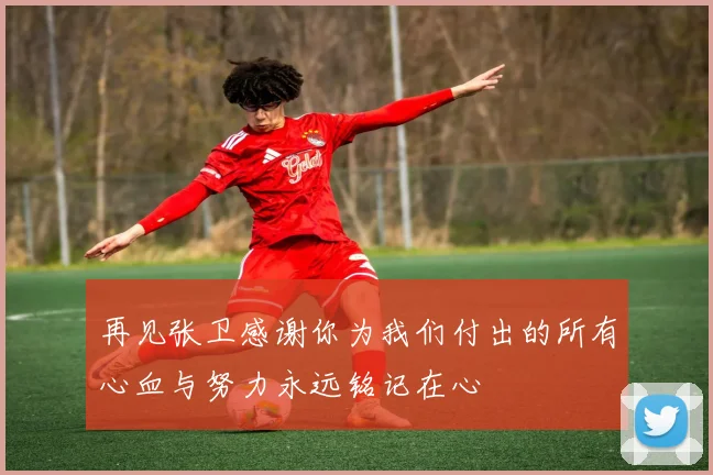再见张卫感谢你为我们付出的所有心血与努力永远铭记在心