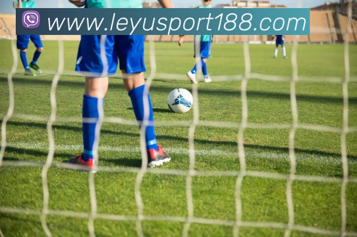 乐鱼体育APP 封面图